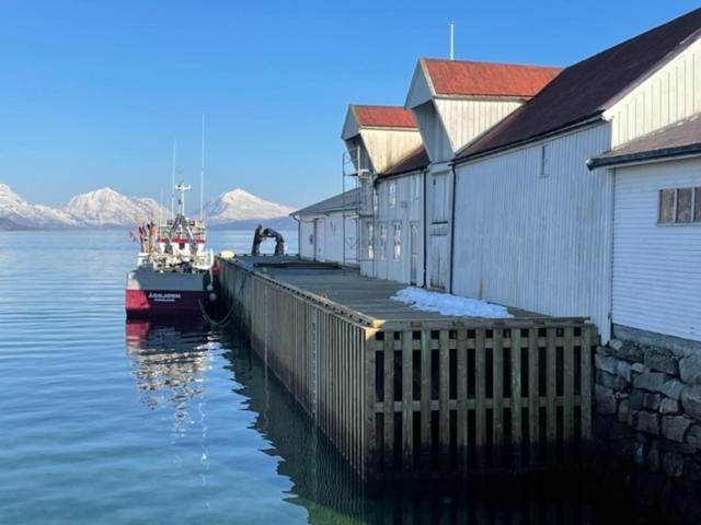 1. Etg I Dampskipsbrygga, Lodingen Havn 外观 照片